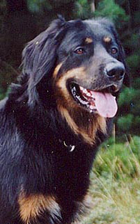 Alariac