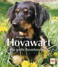 HovawartKerl