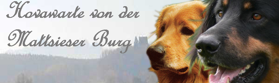 mattsieserburgbanner