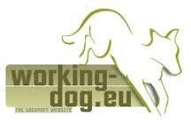 Eyrin auf working-dog